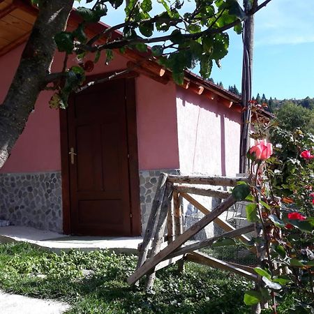 Villa Vrbena Kültér fotó