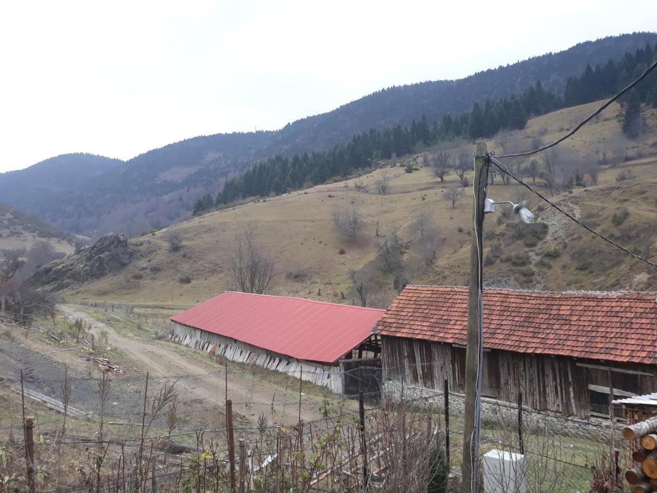 Villa Vrbena Kültér fotó