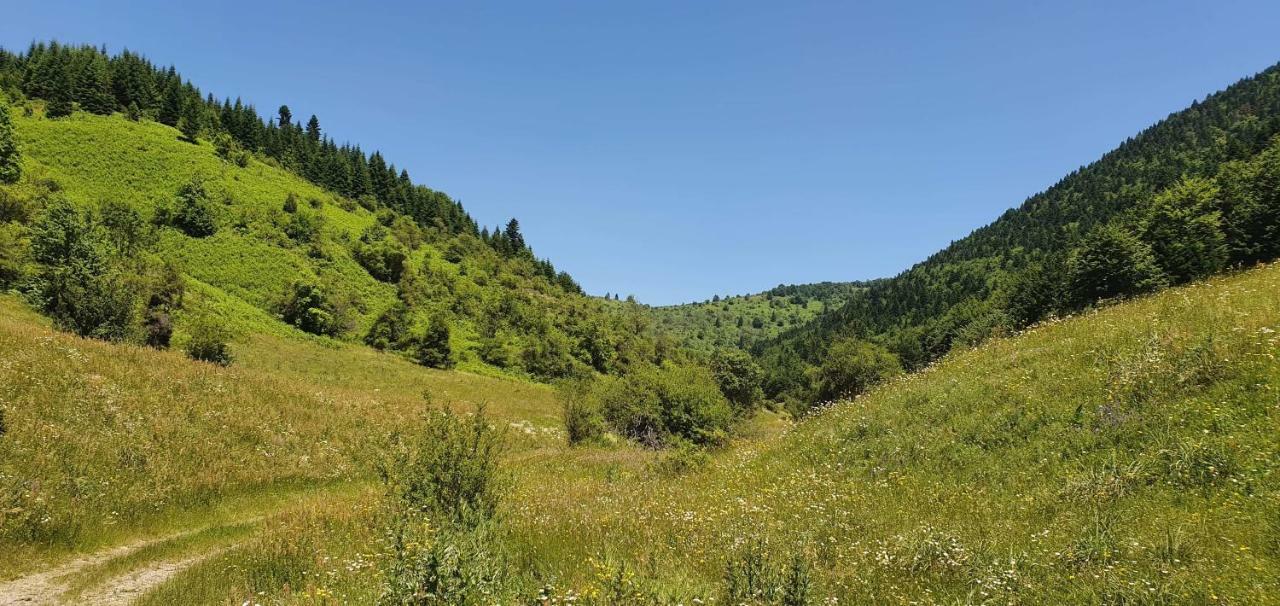 Villa Vrbena Kültér fotó